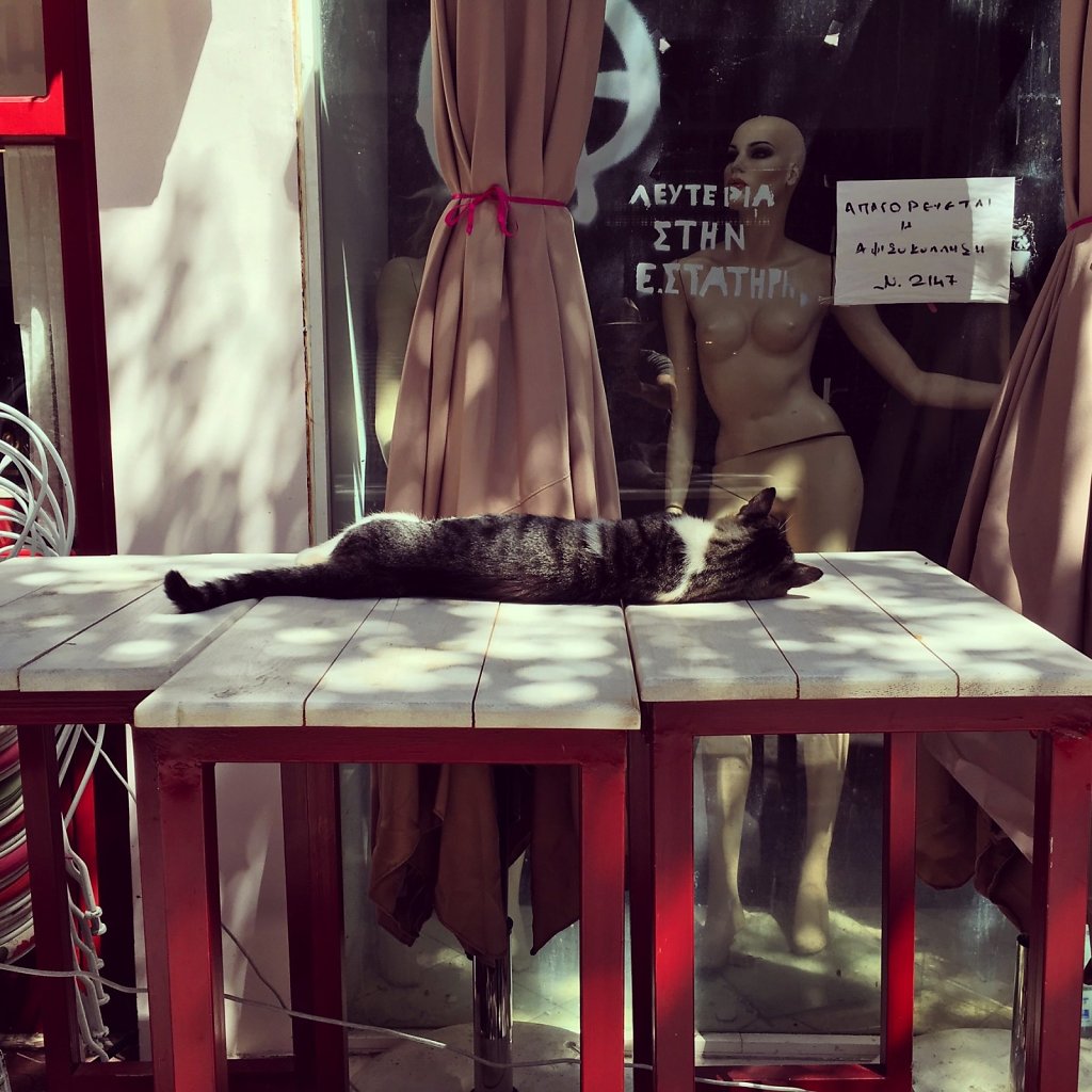 Cretan cat will require at least three tables