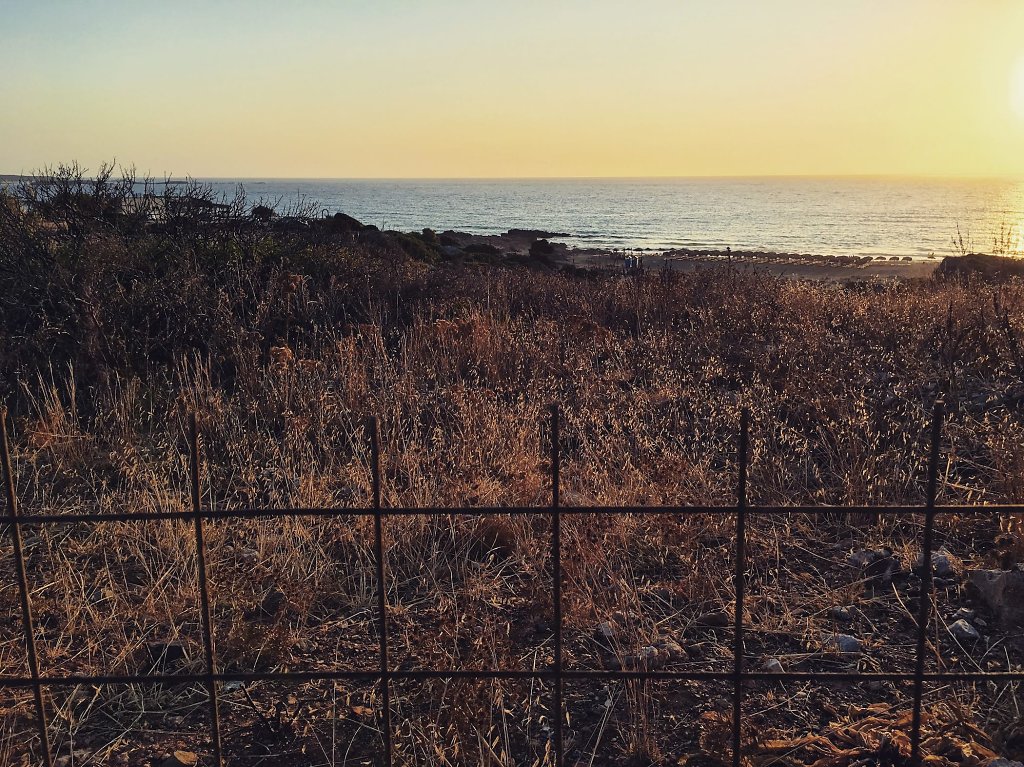The sunset fence